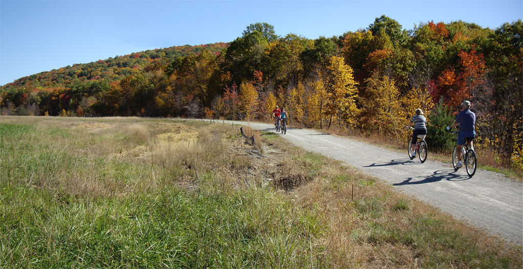 Surface Reclamation. A mine dump formerly occupied this area. Photo by Mary Shaw.