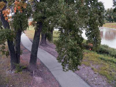 THE EAST GRAND FORKS/GRAND FORKS GREENWAY TRAIL ON THE MINNESOTA SIDE OF THE RED RIVER (PHOTO BY STUART MACDONALD, 2007)