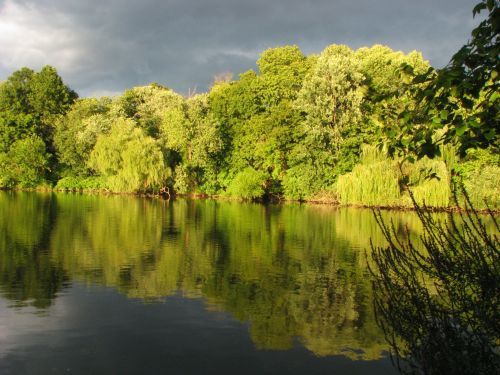 Indian Pond Reflection