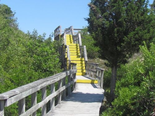 Going up the Dune Loop