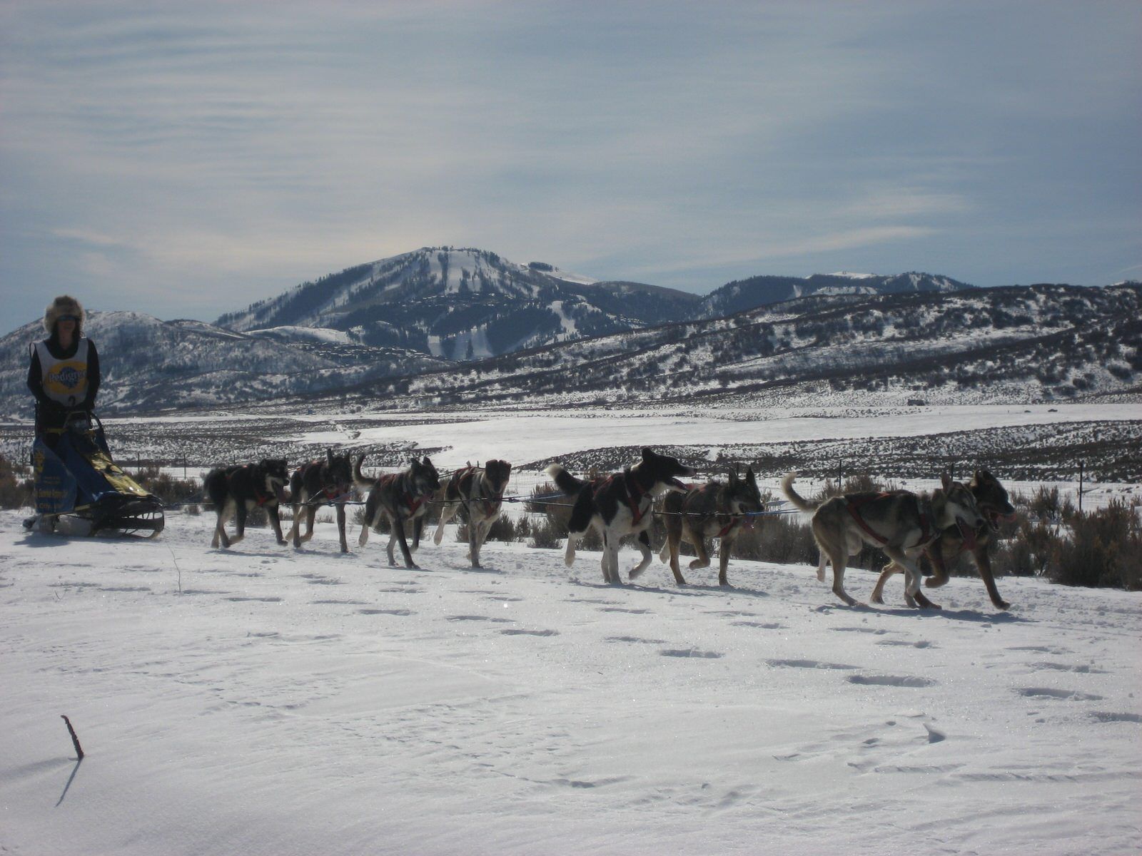 Dog sled on Historic Union Pacific Rail Trail near Park City, Utah. Photo by Bob Kollar.