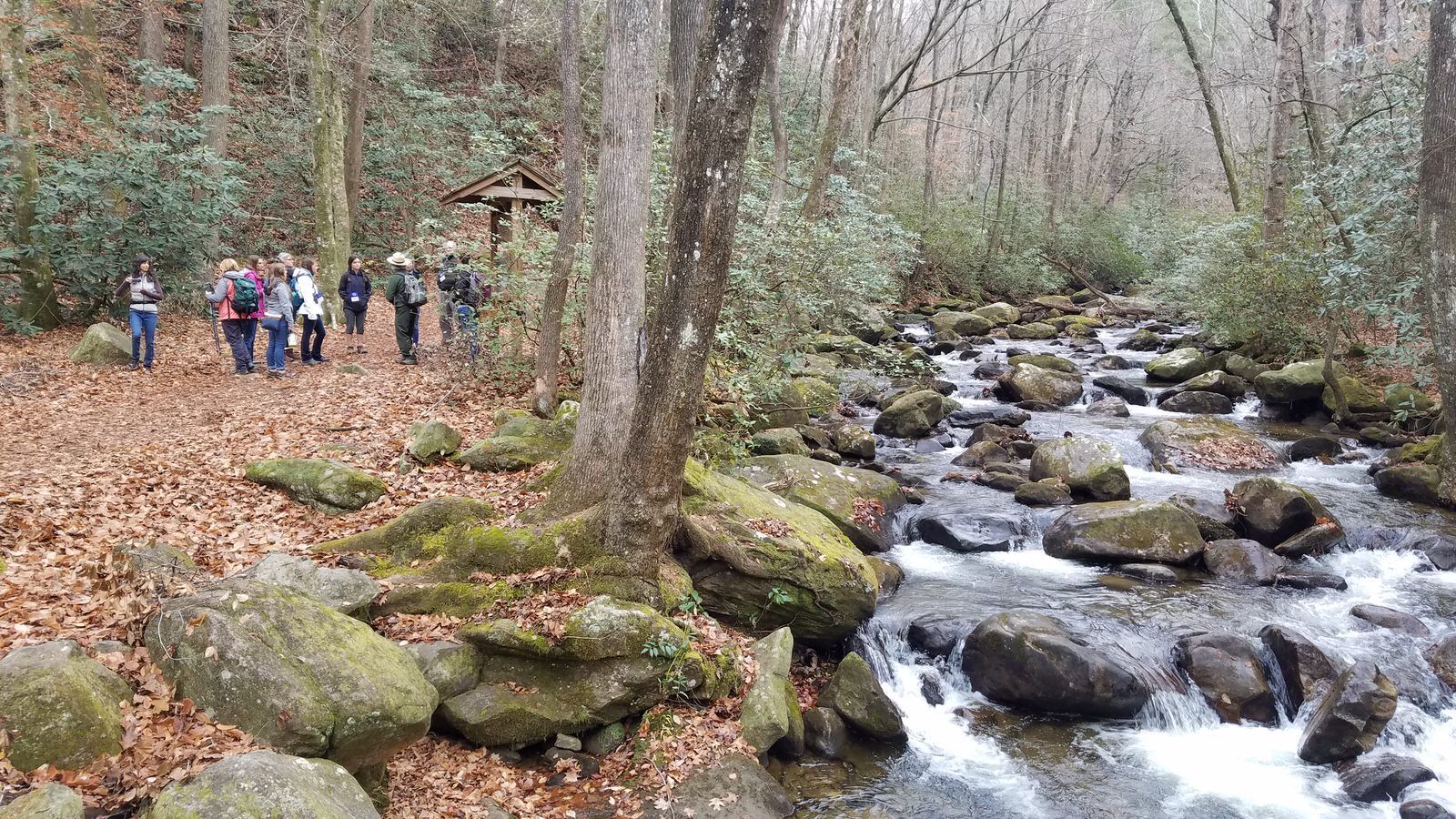 Middle Saluda River. Photo by Tasha Simon.