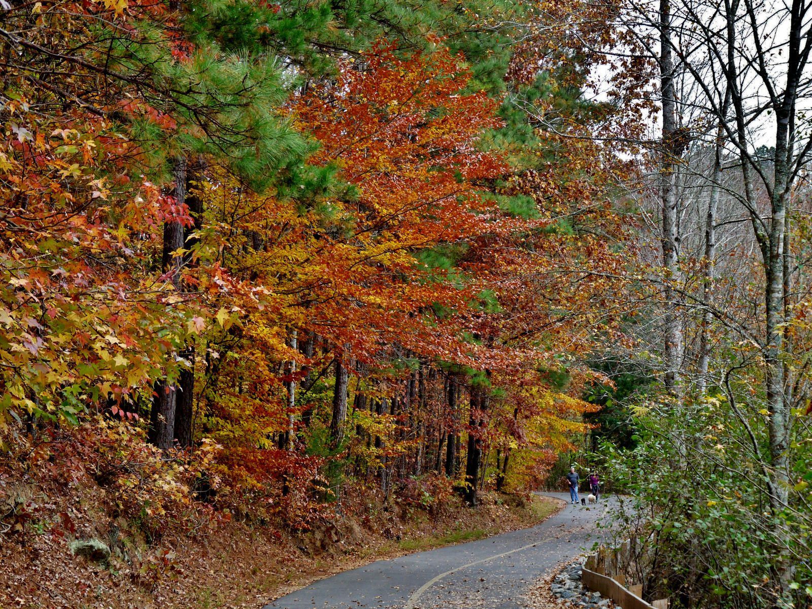 Trail at Mulberry Park. Photo by Patricia Mobley.