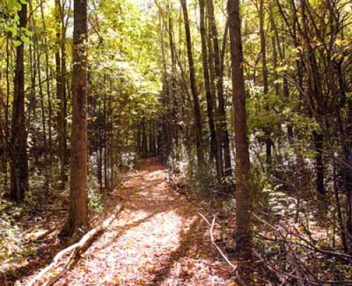 Kohl Park Trail