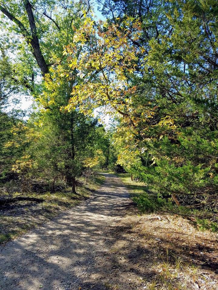 A refuge from the wind anytime of the year. A great place to hike or mountain bike single-track trails. Photo by Rod Kranzler.