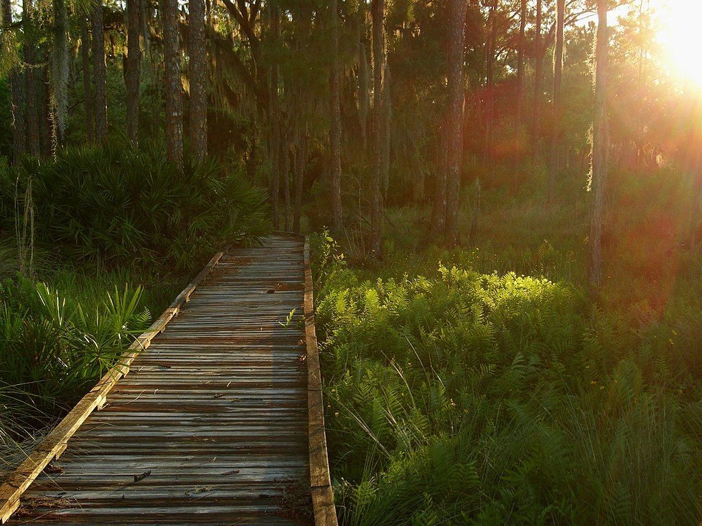 Trail to Arbuckle Lake. Photo by Jason Hollinger wiki.