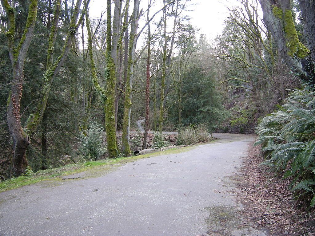 Lake Washington Bike Trail. Photo by Joe Mabel wiki.