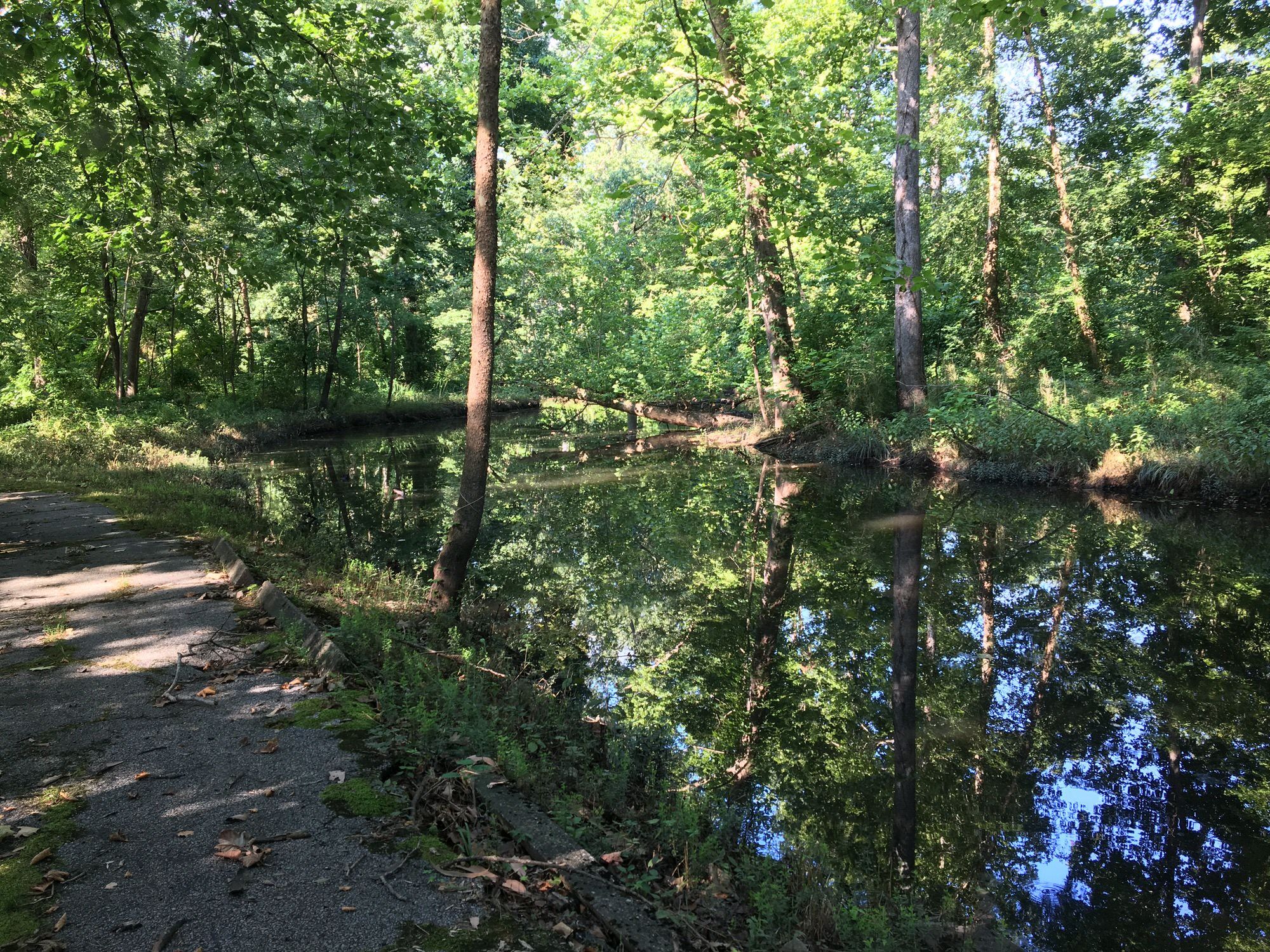 Long Creek Trail provides access to a wetlands area along the creek. Photo by Donna Kridelbaugh.