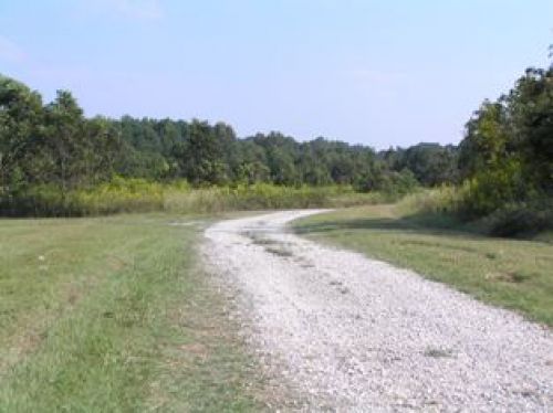 Magnolia Trail at St. Catherine Creek Refuge