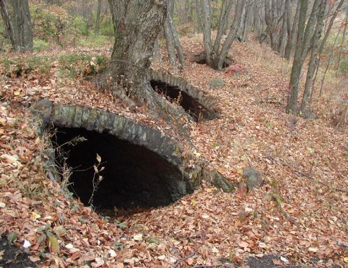 Part of the trail runs along a series of well-preserved coke ovens.