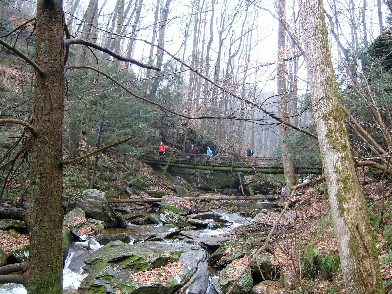 Saw Mill Run Bridge. Photo by Carl M. Smith.