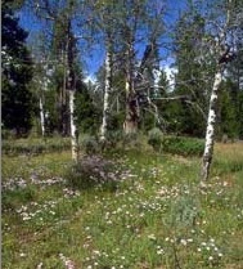 Muddy Mountain Interpretive Nature Trail