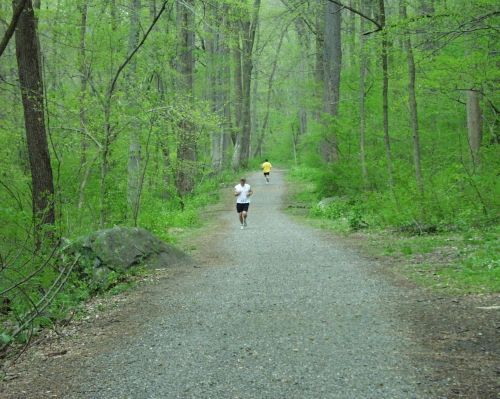 Runners along the Northern Delaware Greenway Trail