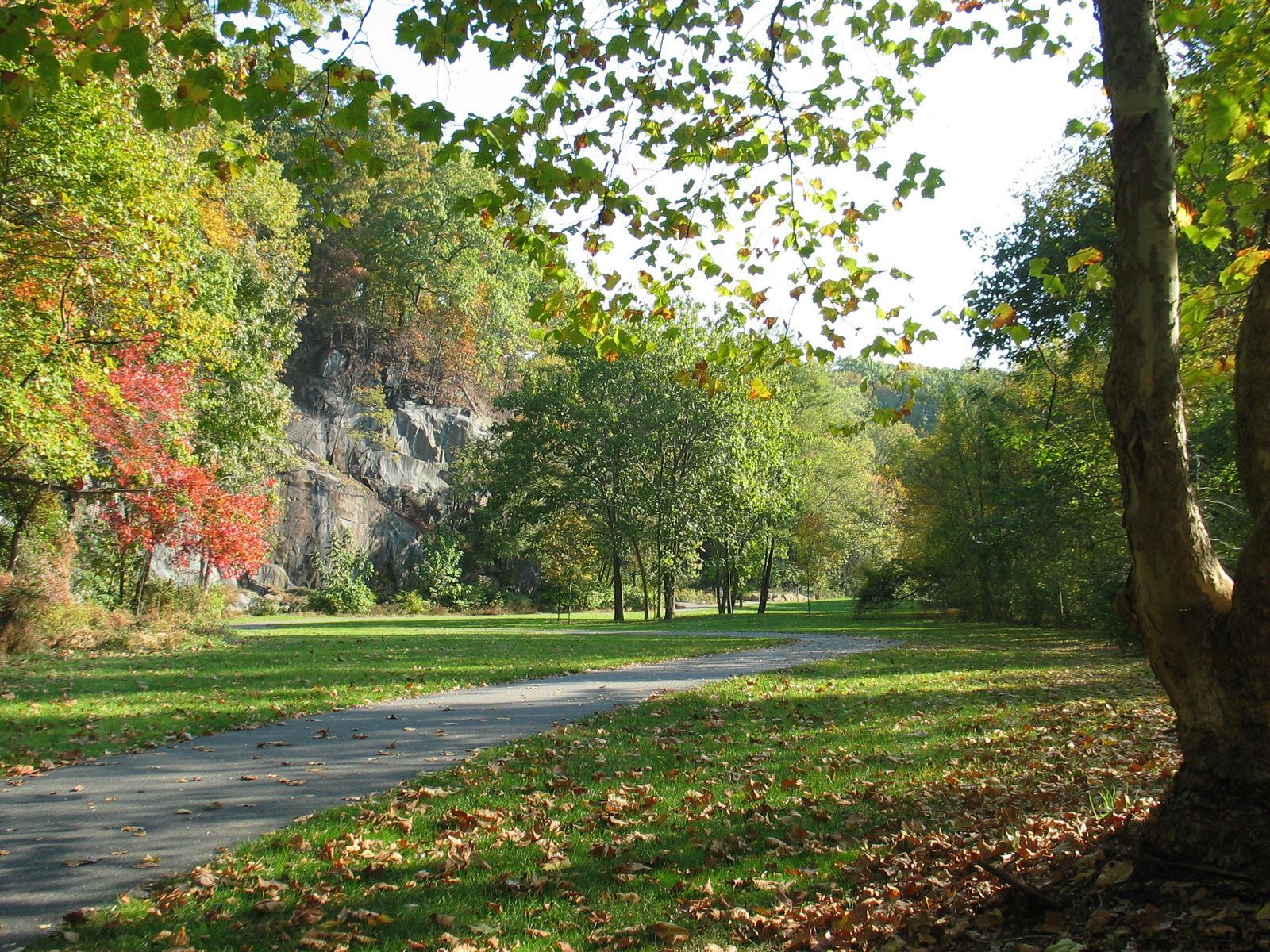 Scenic views of the Alapocas Run Blue Rocks along the Northern Delaware Greenway Trail. Photo by Delaware State Parks.