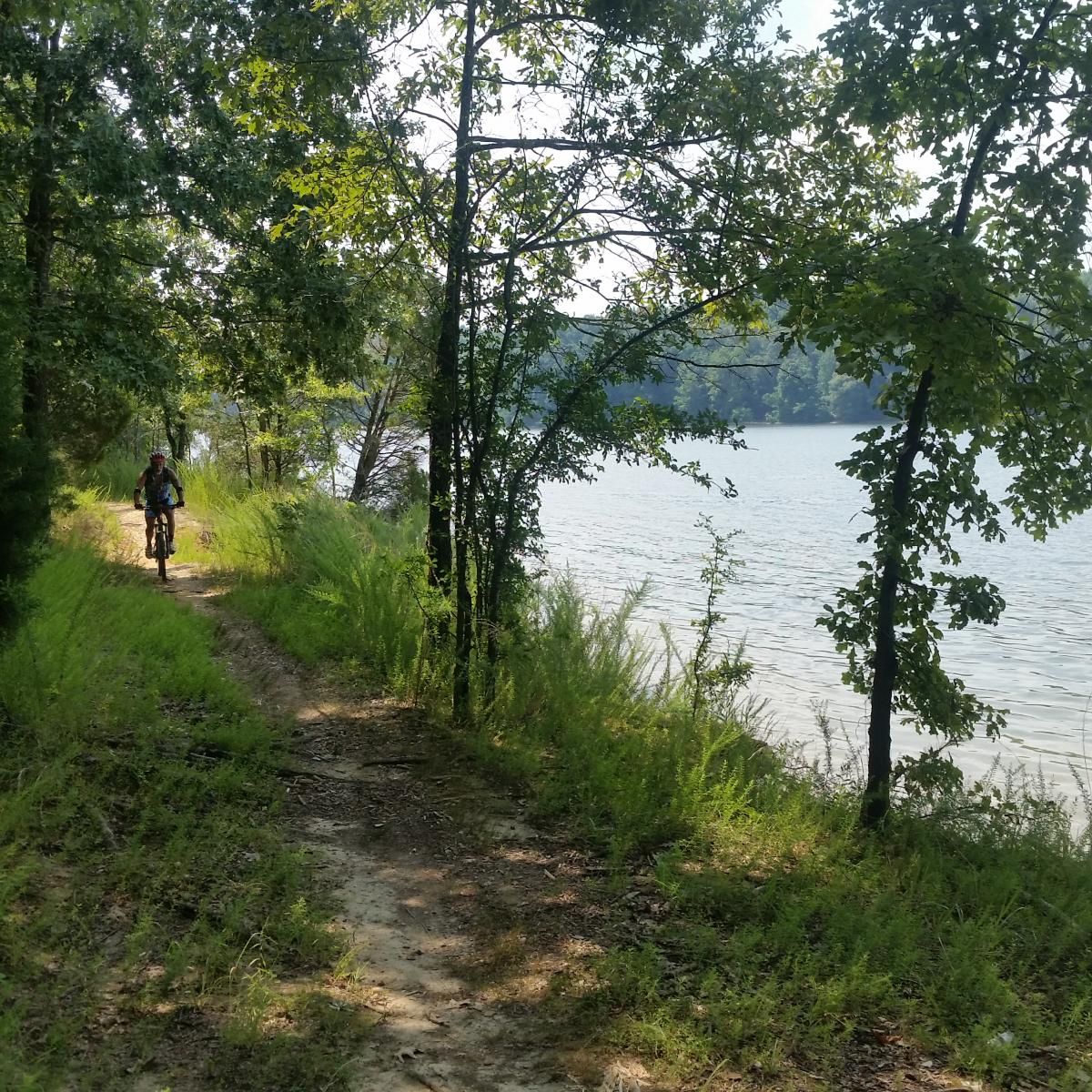 The trail often overlooks Kentucky Lake. Photo by Singletracks.com/rangeline.