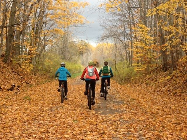 Fall Color on the North Western State Trail