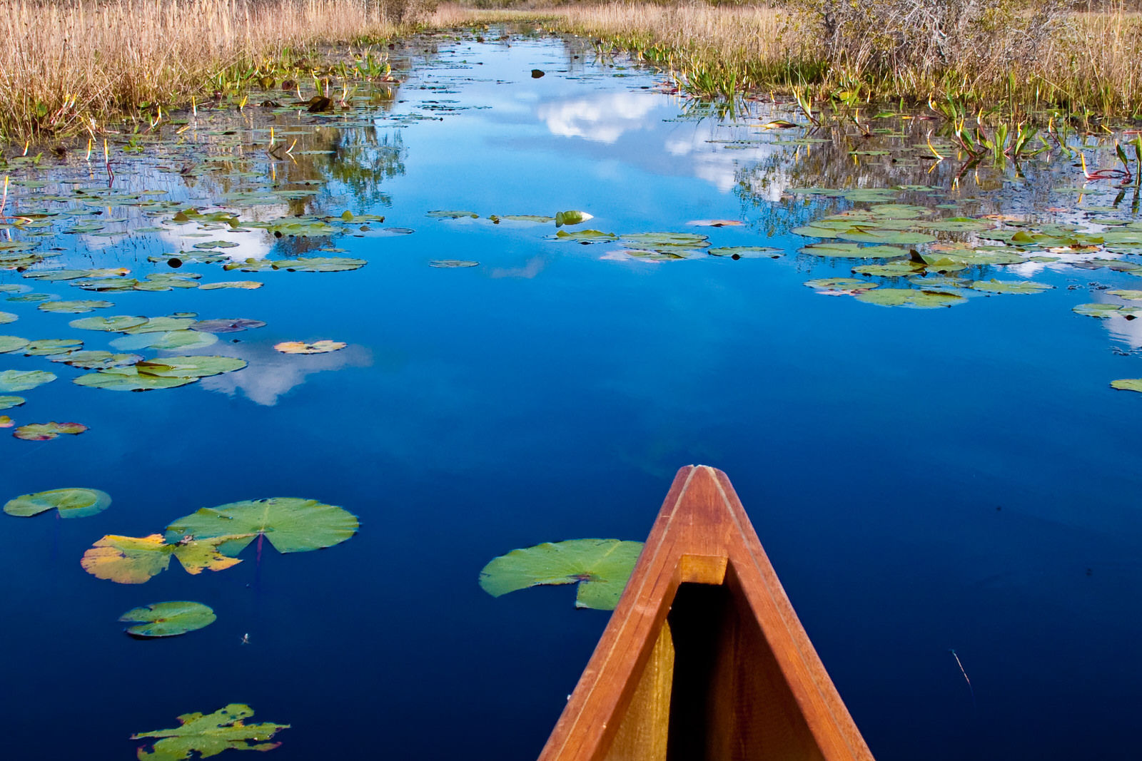 Morning paddle. Photo by Debbie Biddle.