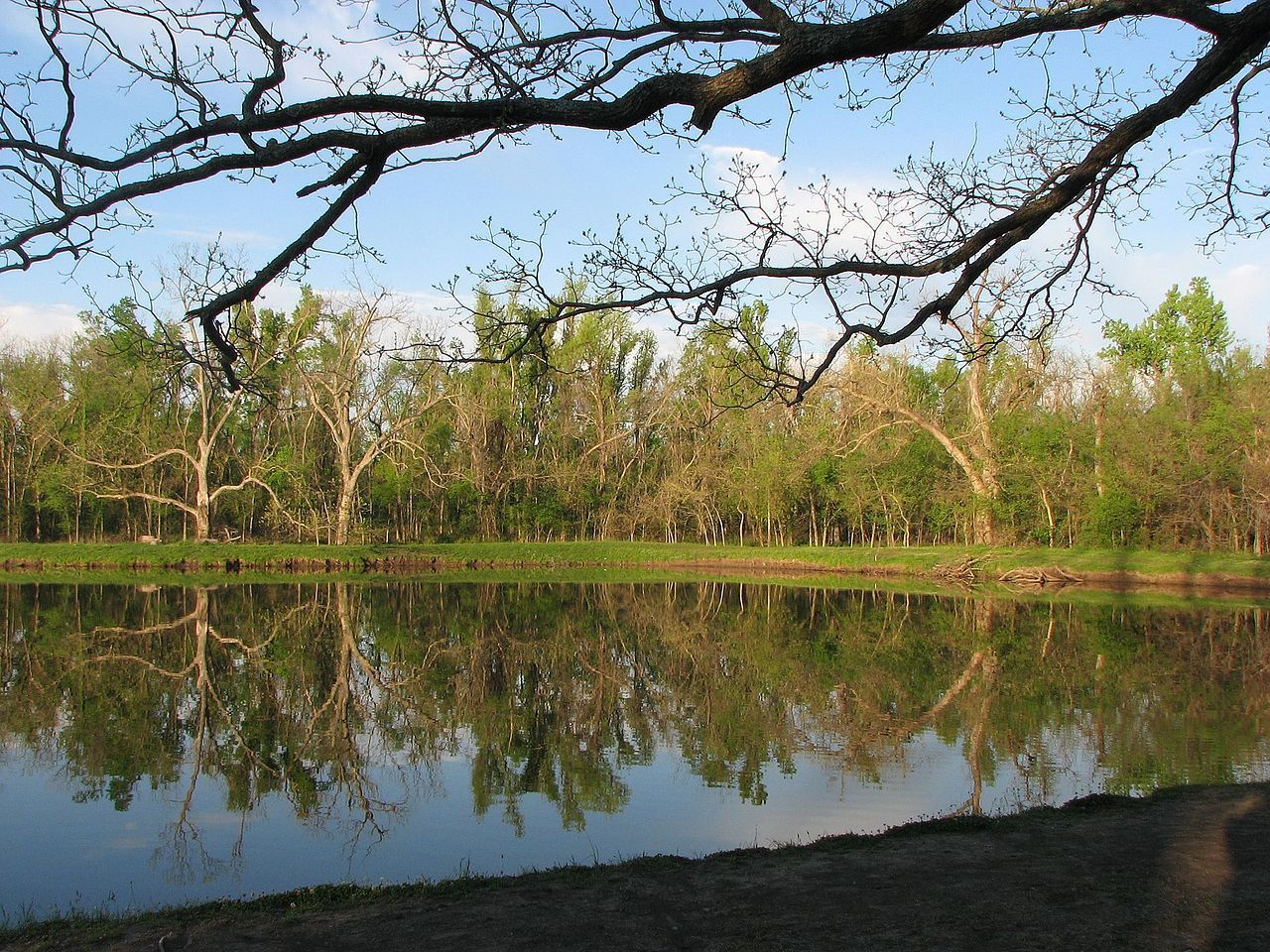 Pond at Mohawk Park. Photo by Ed Cumming.