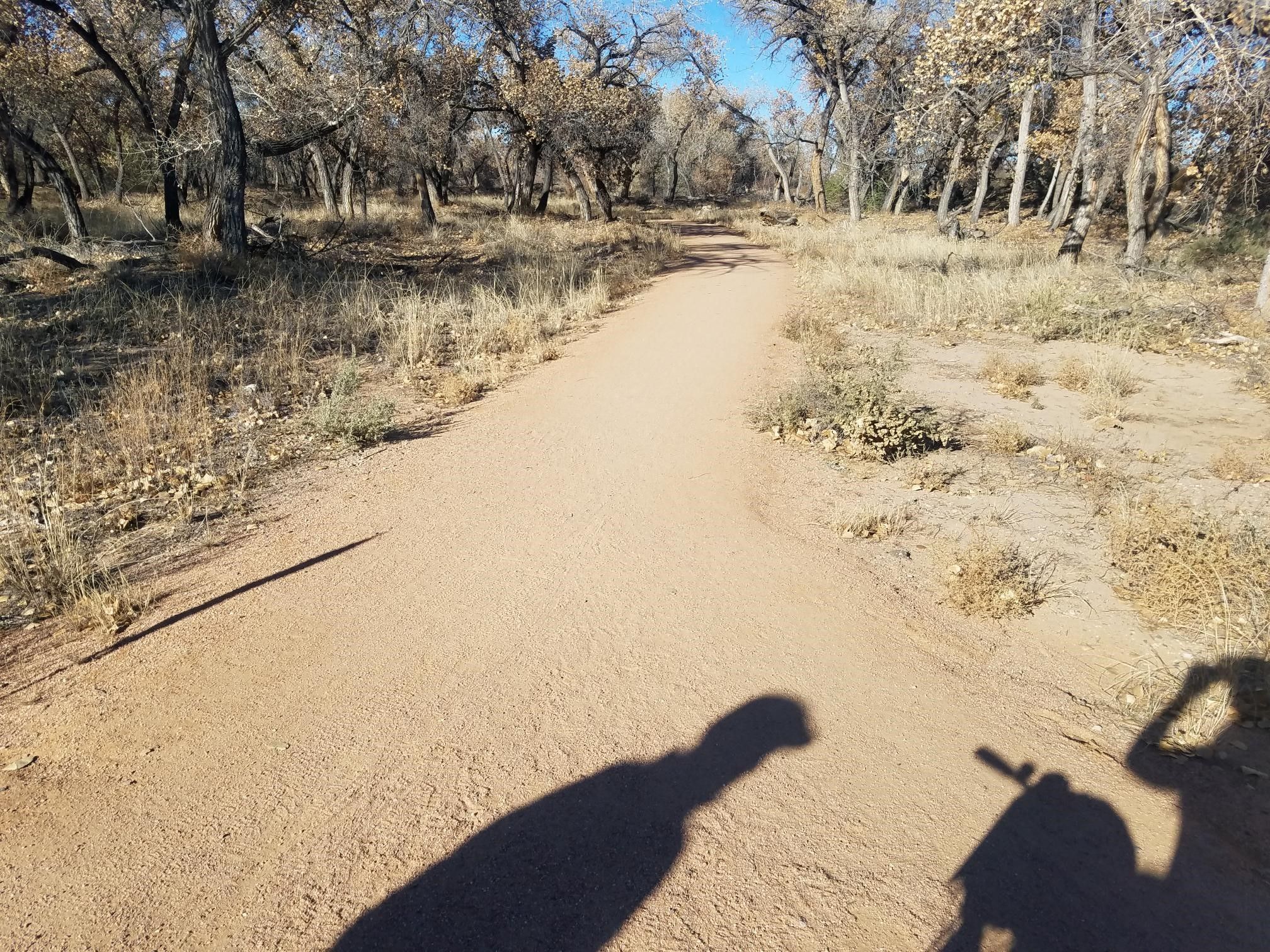 Shadows on the trail. Photo by Candace Gallagher.