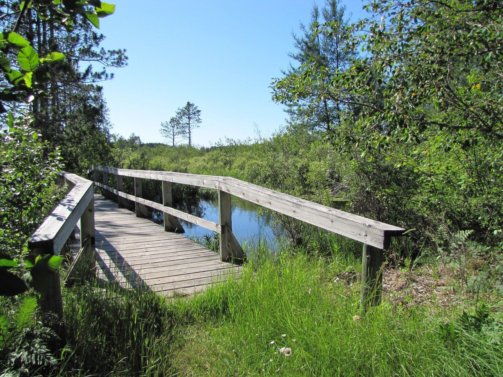 Boardwalk. Photo by Sara Giles / USFWS