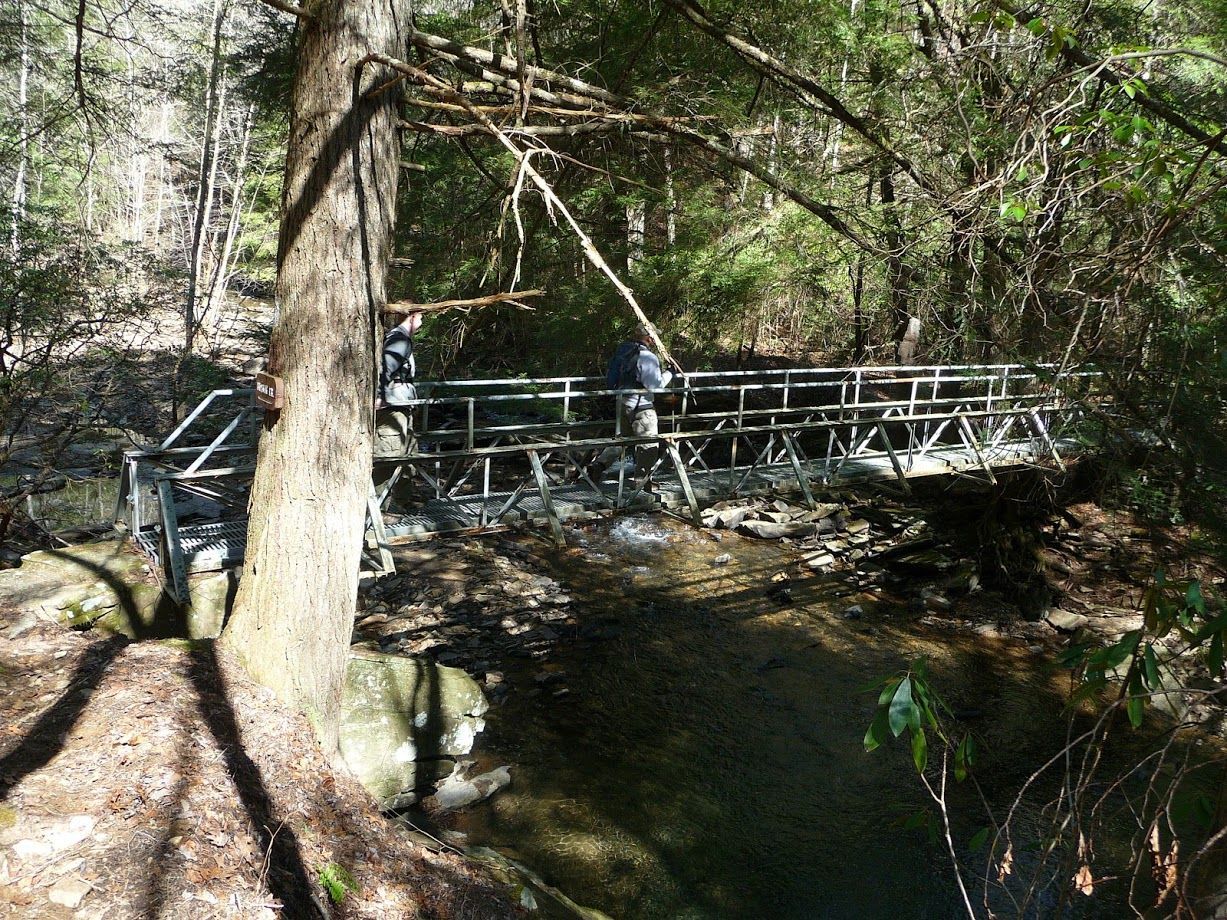 Piney River Nature Hike taken in 2010. Photo by Kelly Stewart.