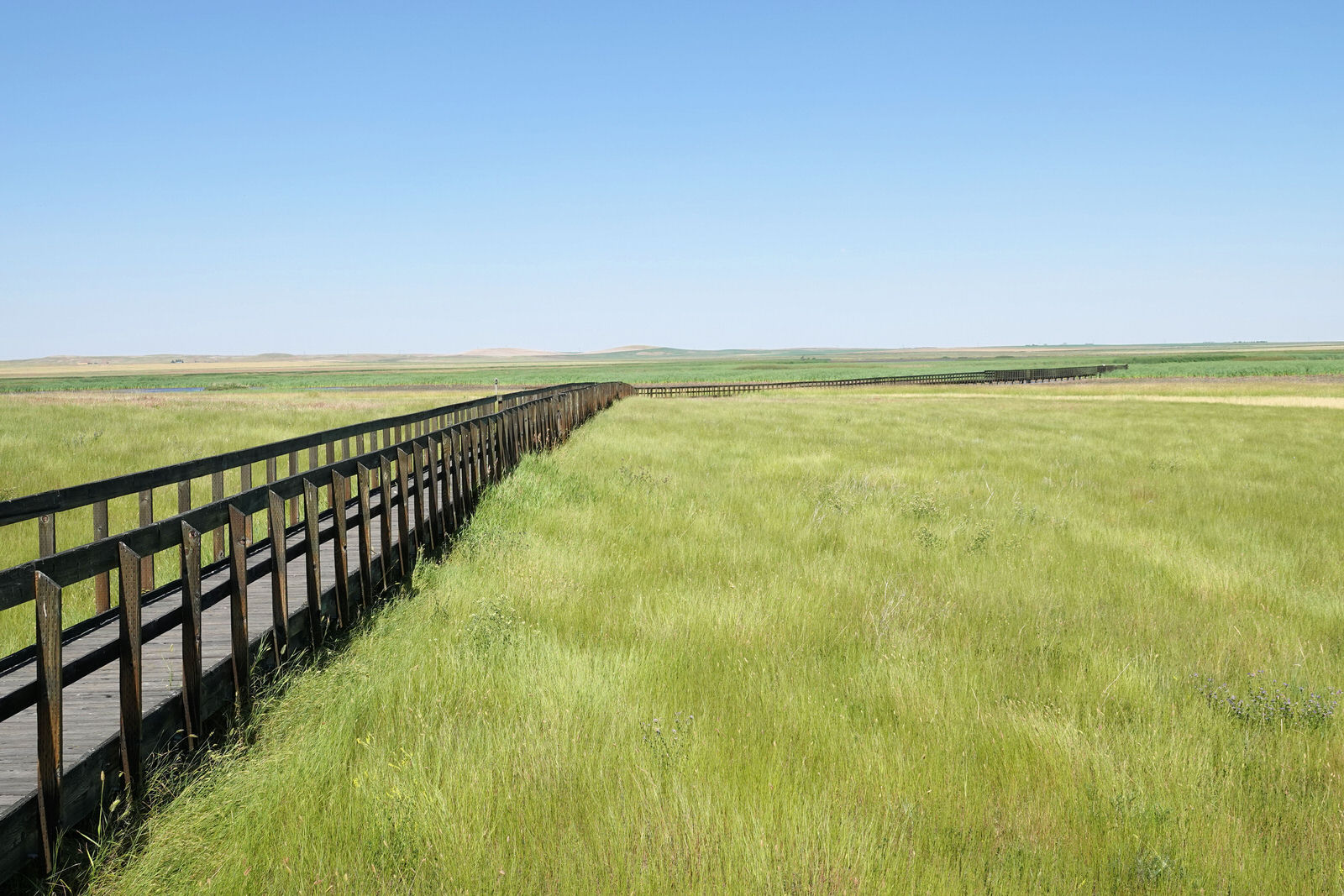 Prairie-Marsh Boardwalk - Benton Lake NWR - 7-20-18. Photo by Jim Walla.