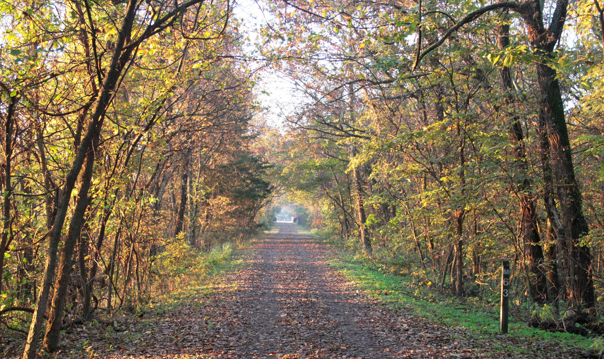 Prairie Spirit Trail in Fall