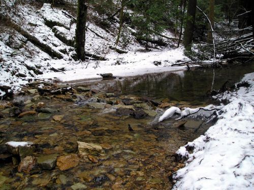 The rock ford where the Buck Trail crosses Chimney Top Creek in the Red River Gorge National Recreation Trail system