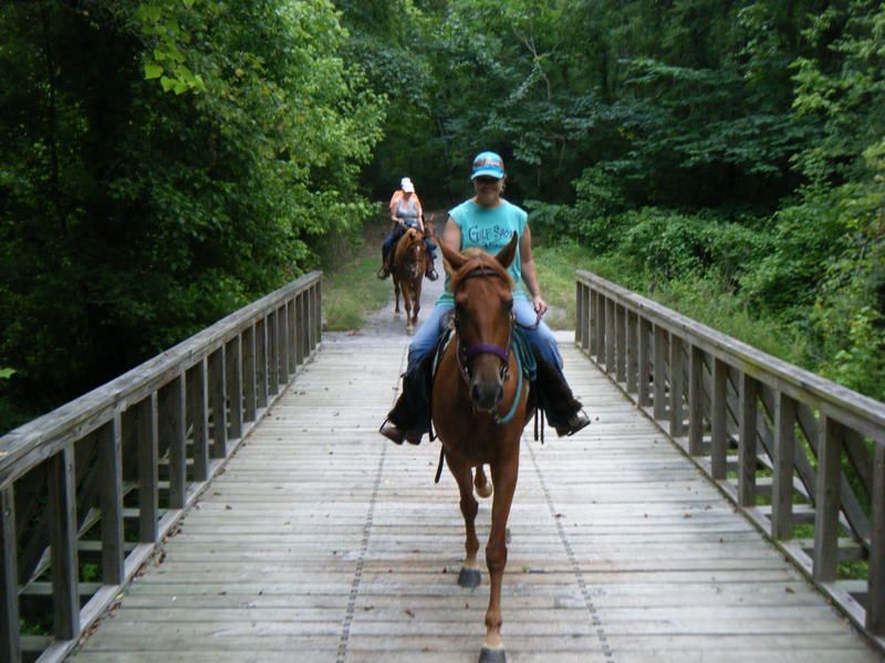 Horseback riders crossing bridge. Photo by Kari Kirby.