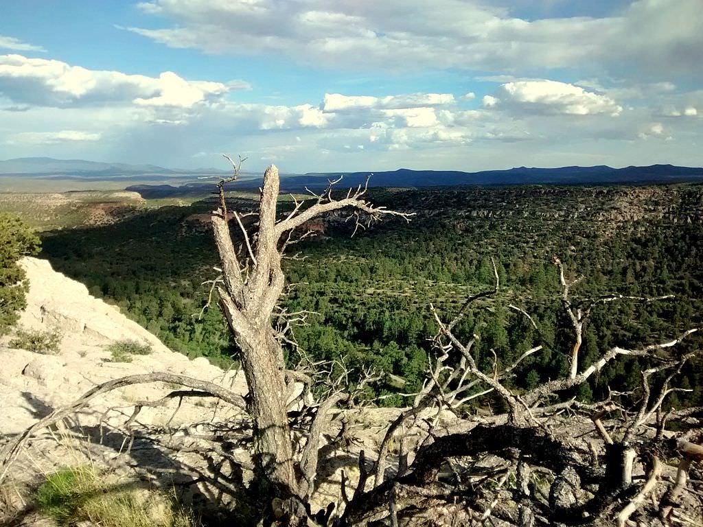 East Rim Trail. Photo by Aaron Zhu.