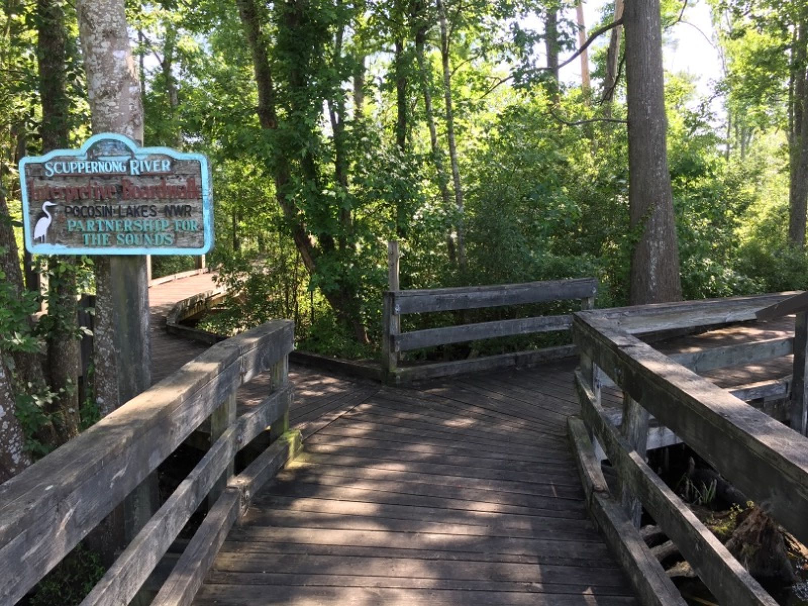 Scuppernong River Interpretive Boardwalk