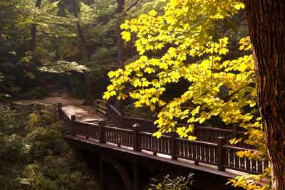 SEVEN BRIDGES TRAIL IN GRANT PARK, MILWAUKEE COUNTY