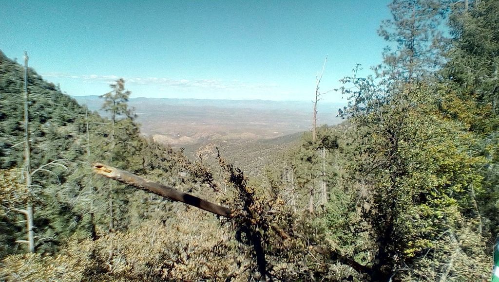 View from Pinal Mountains, while on Sixshooter Canyon Trail #197. Photo by Sakhair Volk/wiki.