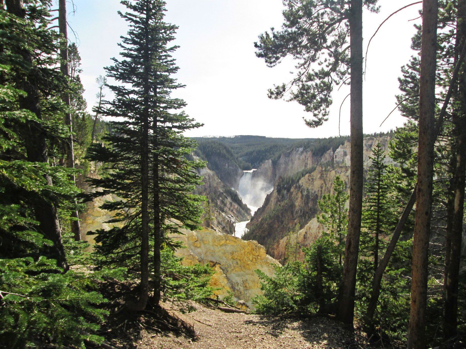 View from the South Rim Trail, near Artist's Point, Yellowstone National Park. Photo by Valerie A. Russo.