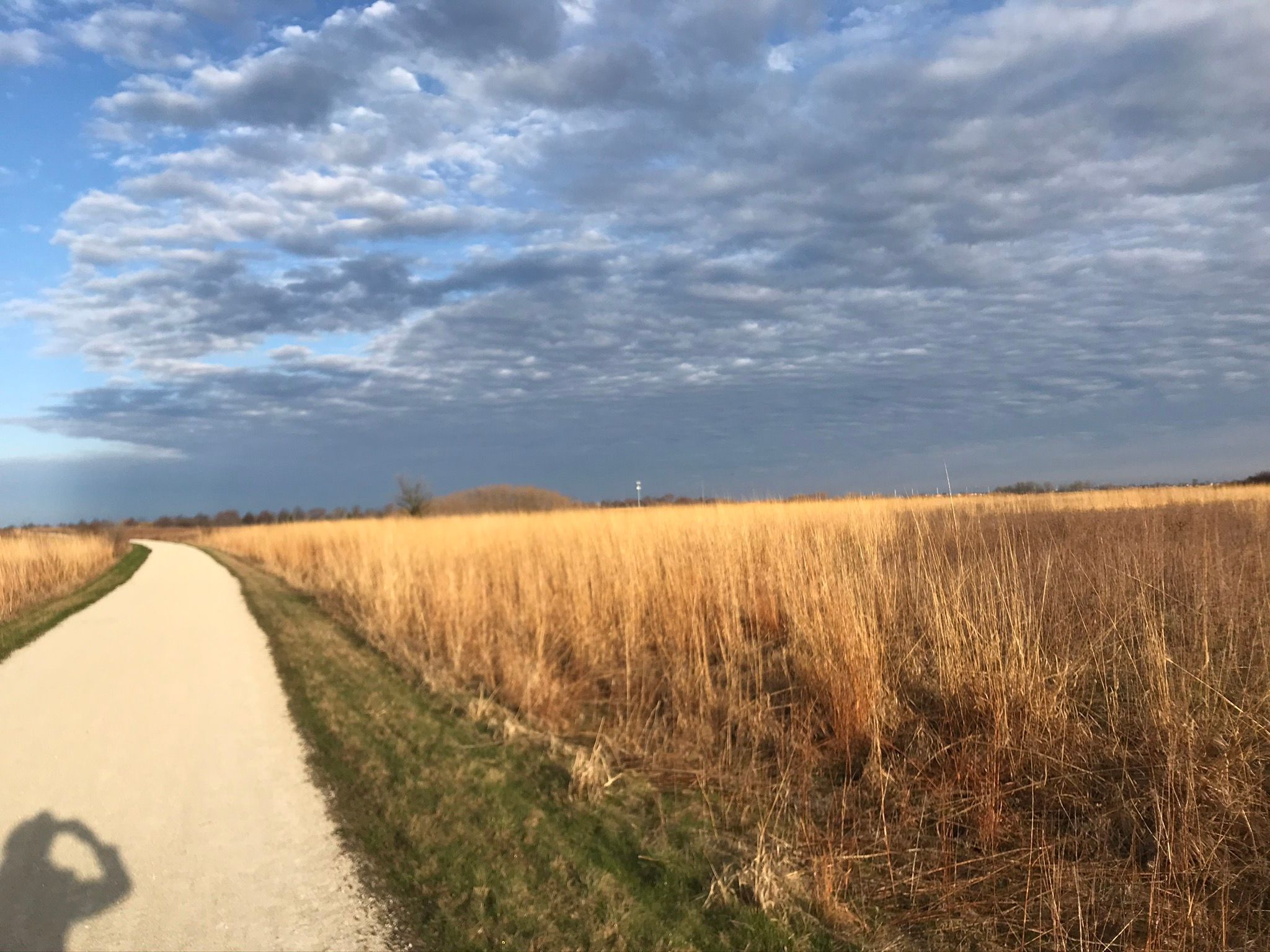 Morning on the Prairie. Photo by Linda J Evans.