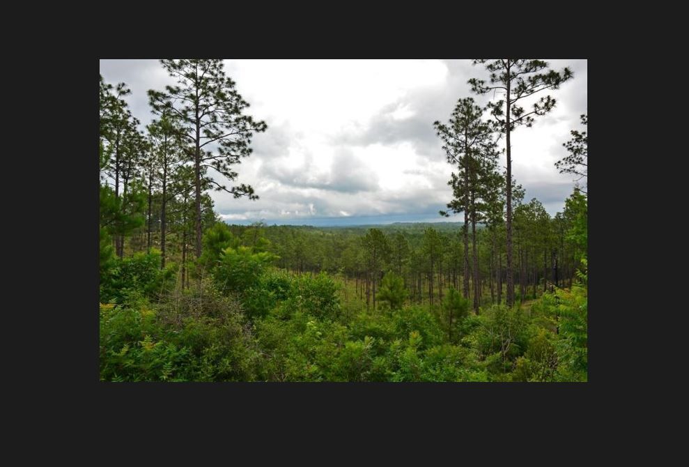 Hike or bike through this diverse ecosystem. Photo by USFS.