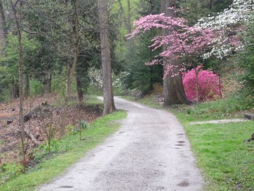 Section of Carriage Trail in Spring