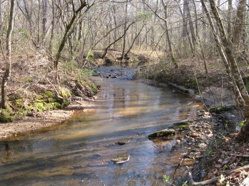 Coon Creek