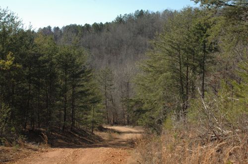 Freedom Hills Trail System