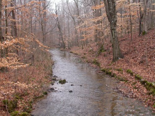 Shoal Creek Preserve