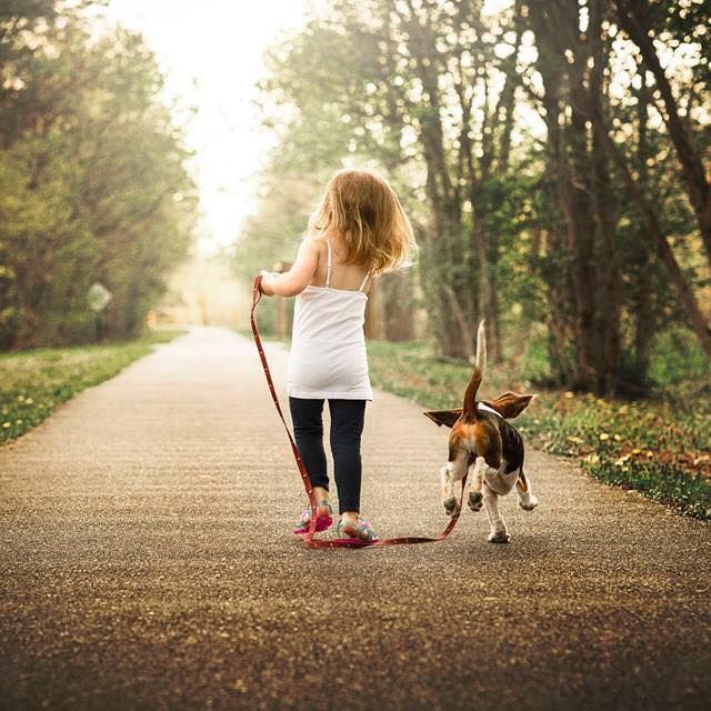 Child and Dog Walking the Great Guernsey Trail