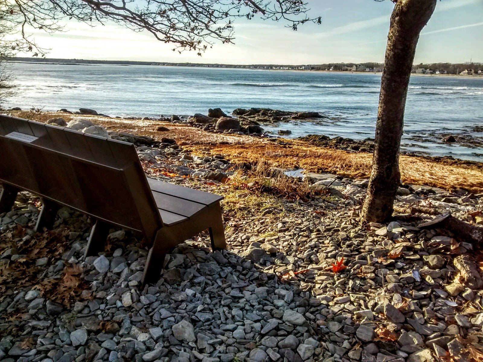 A quiet spot for reflection. Photo by Debi Swain.