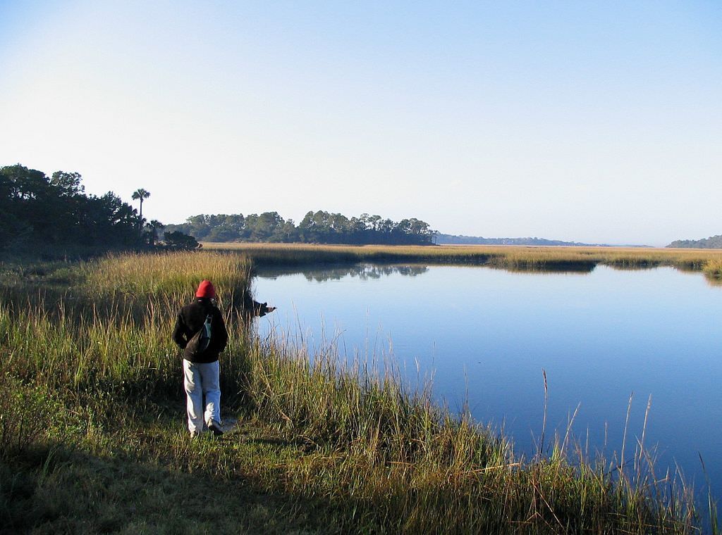 Little Talbot Island - Myrtle Creek  Florida,.