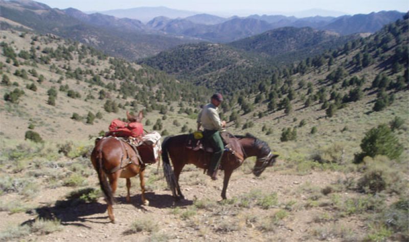 Toiyabe Crest Trail