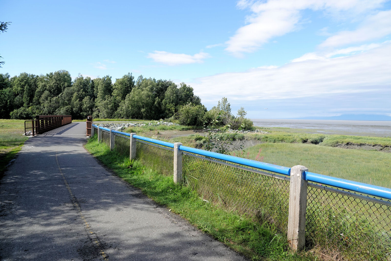 Tony Knowles Coastal Trail - northern end near Margaret Eagan Sullivan PArk - 8-12-18. Photo by Jim Walla.