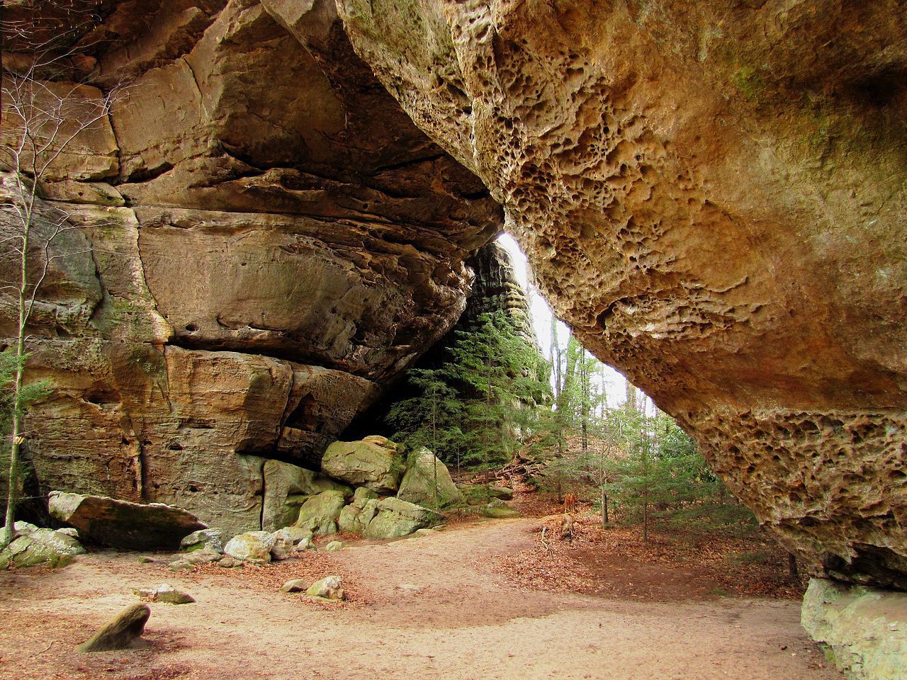 The South Twin Arch at the Big South Fork National River and Recreation Area in Scott County, Tennessee, USA. Photo by Brian Stansberry.