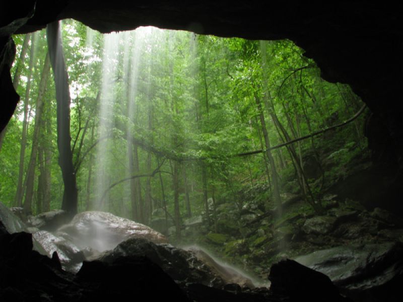 Behind Big Laurel Falls - photo by Marty Silver