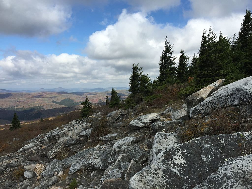 View north from the Whispering Spruce Trail just west of Spruce Knob, West Virginia. Photo by Famartin.