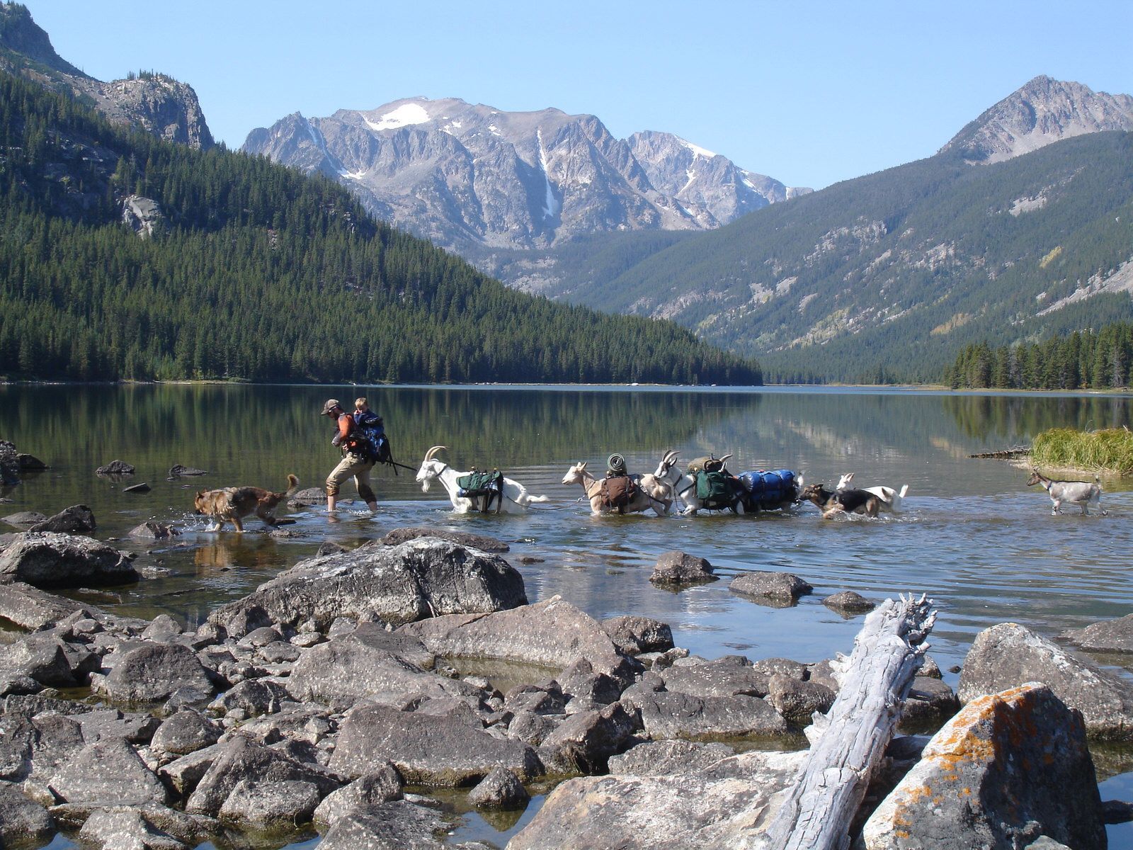 Goatpacking  hiking trip. Photo by Beth Shumate.