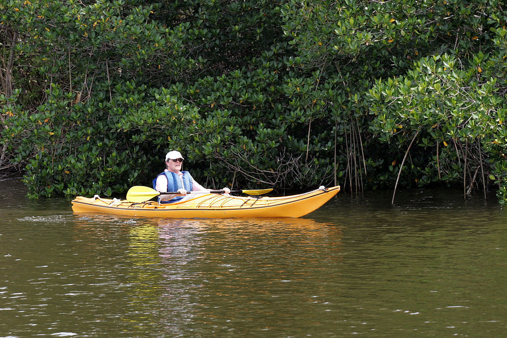 Flamingo - Inland Waterway. Photo by NPSPhoto, R. Cammauf.